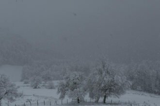 SAMSUNUN YUKSEK KESIMLERINDE KAR ETKILI 1066021 316333