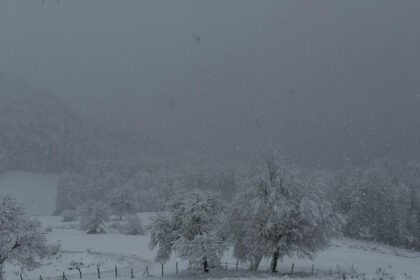 SAMSUNUN YUKSEK KESIMLERINDE KAR ETKILI 1066021 316333