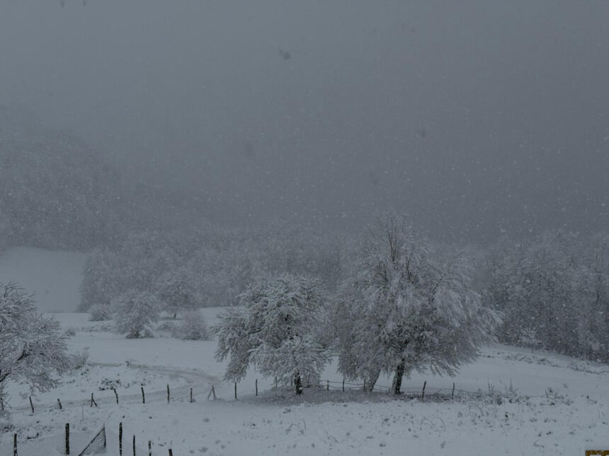 SAMSUNUN YUKSEK KESIMLERINDE KAR ETKILI 1066021 316333