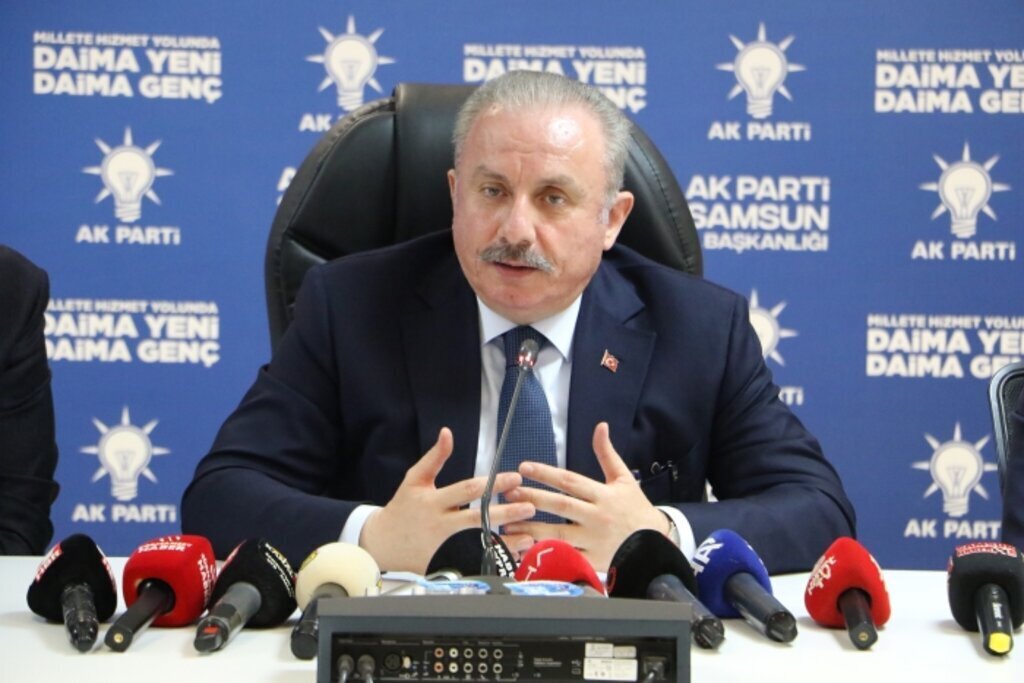 SENTOP TURKIYEDE MUTLAKA BIR SIVIL ANA 455992 134617