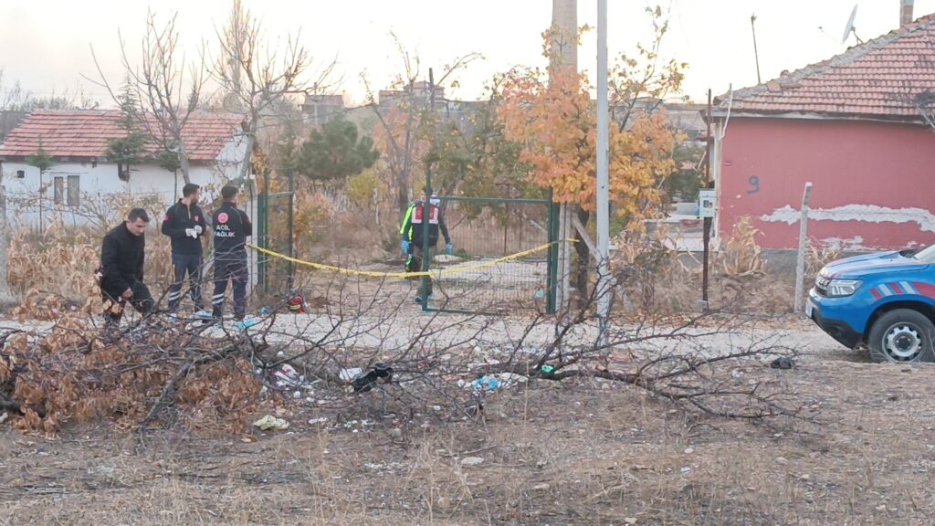 Şizofren hastası dehşet saçtı: Eniştesini katletti, annesini ağır yaraladı