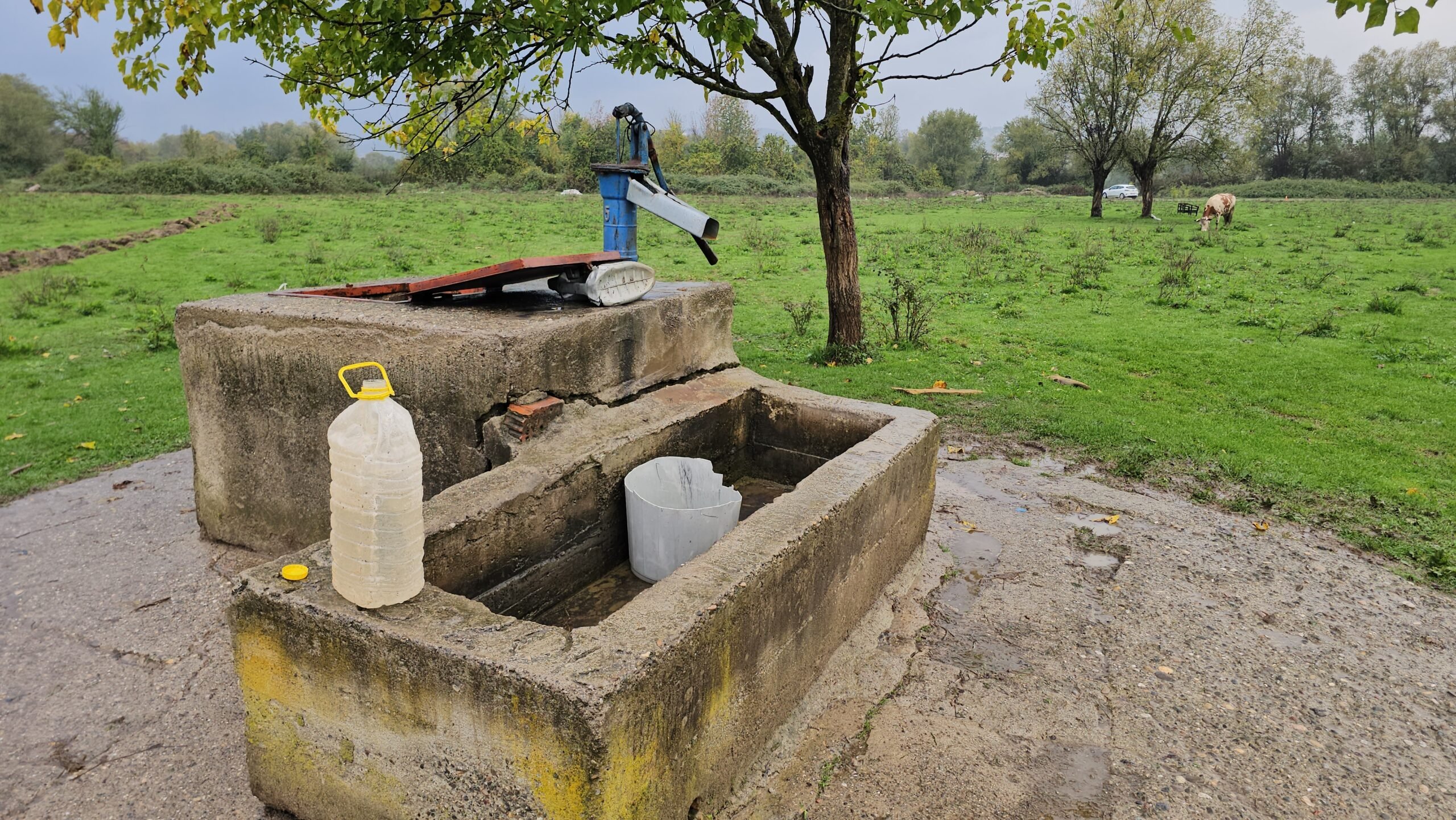Su kuyusunda kadın cesedi bulundu