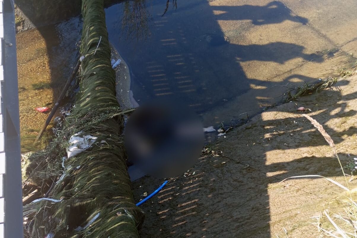 SULAMA KANALINDA KADIN CESEDI BULUNDU 819870 242835 e1752751123913