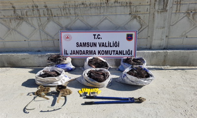 Samsun’da Uyuşturucu ve Hırsızlık Operasyonu: 2 Gözaltı