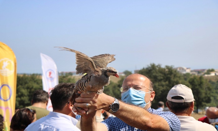 Samsun’da doğaya sülün ve kınalı keklik salındı