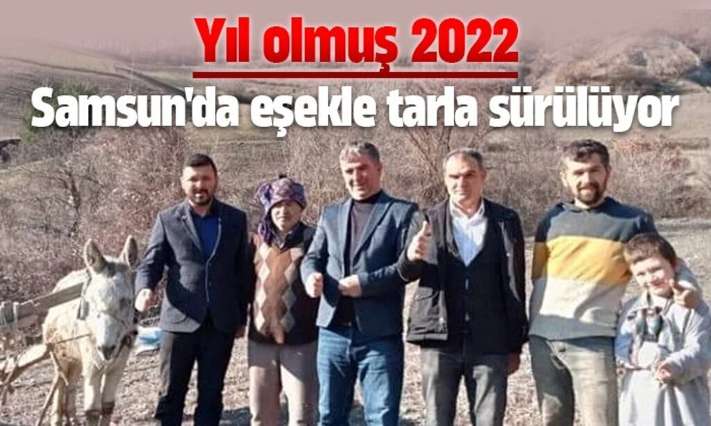 Samsunda esekle tarla suruluyor1