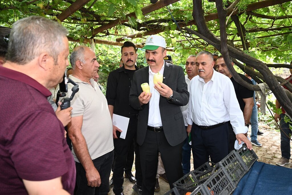 Sera kentler kuracagiz 3