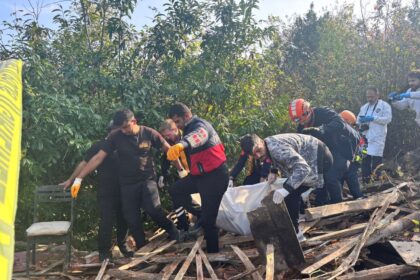 TAHTALARINI SOKERKEN AHSAP EV YIKILDI A 1005339 298290