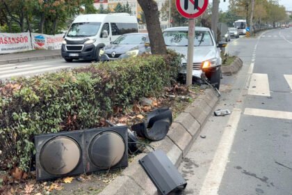 TEKIRDAG ALKOLLU SURUCU YAYA GECIDININ 961145 285415