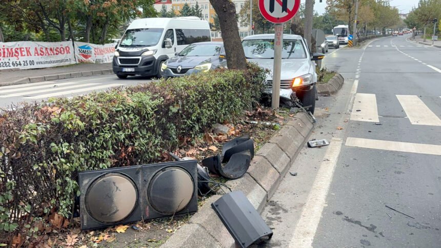 TEKIRDAG ALKOLLU SURUCU YAYA GECIDININ 961145 285415