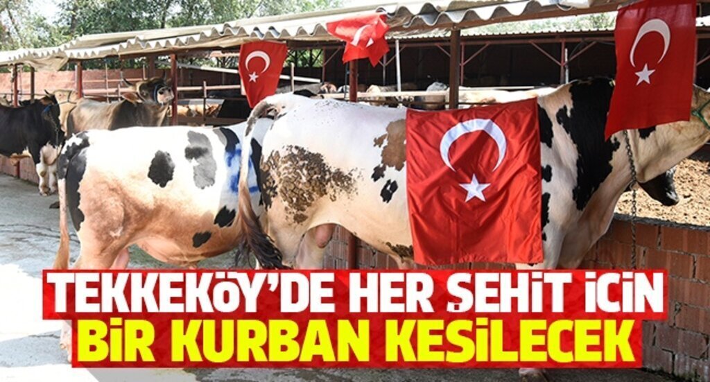 TEKKEKoY’DE HER sEHiT iciN