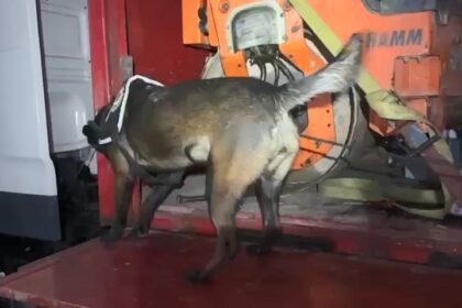 TIRA YUKLU ASFALT SILINDIR MAKINESINE G 1050895 311857