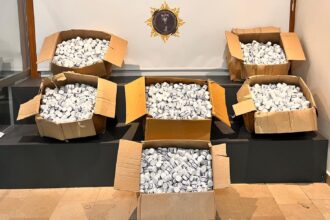 TIRDA 153 BIN 615 SENTETIK HAP ELE GECI 970882 288294 e1760886755402