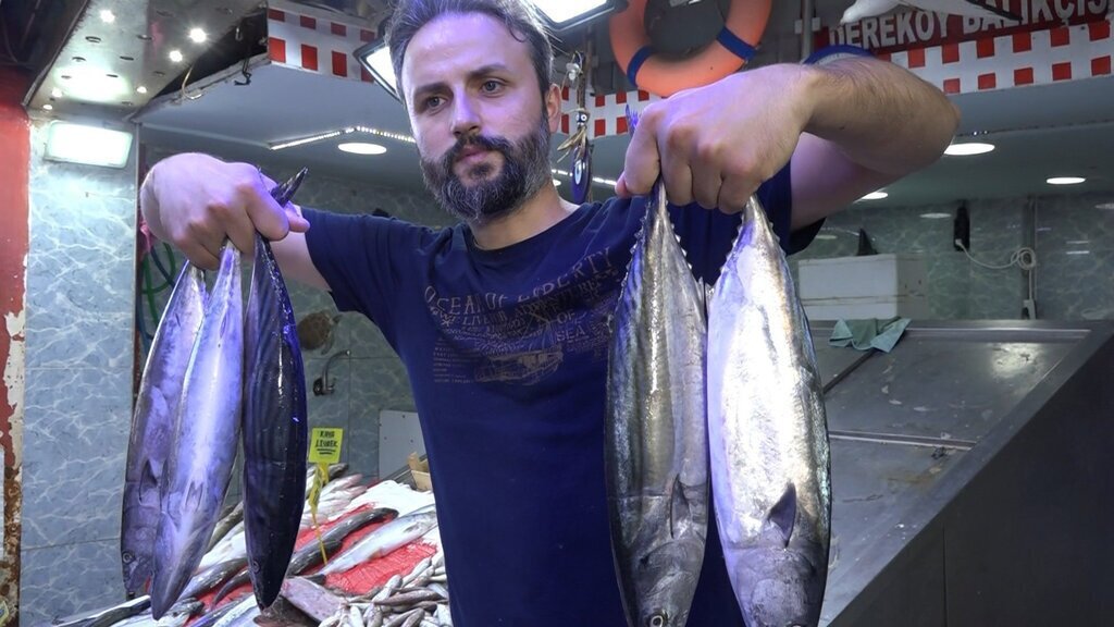 TRABZONDA PALAMUT IRILESTI FIYAT ARTTI 413012 114406