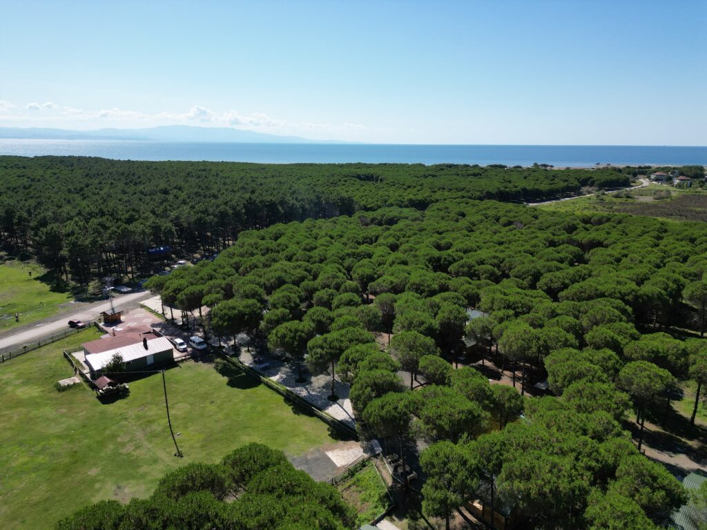 Tabiat harikası “Çarşamba Orman Park”