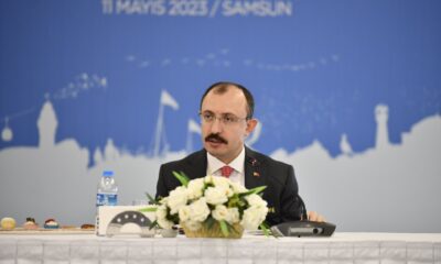 Ticaret Bakanı Mehmet Muş, İnce’nin cumhurbaşkanlığı adaylığından çekilmesini değerlendirdi