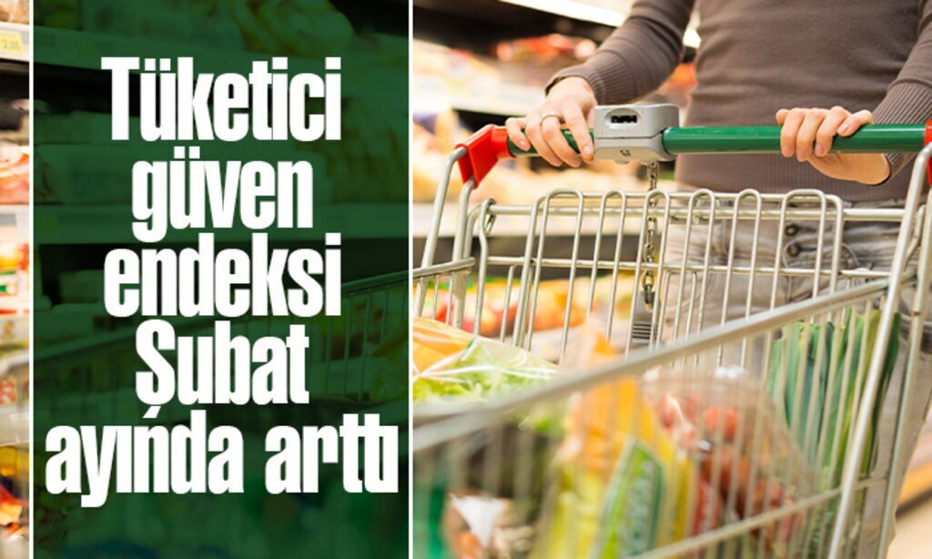 Tuketici guven endeksi Subat ayinda artti