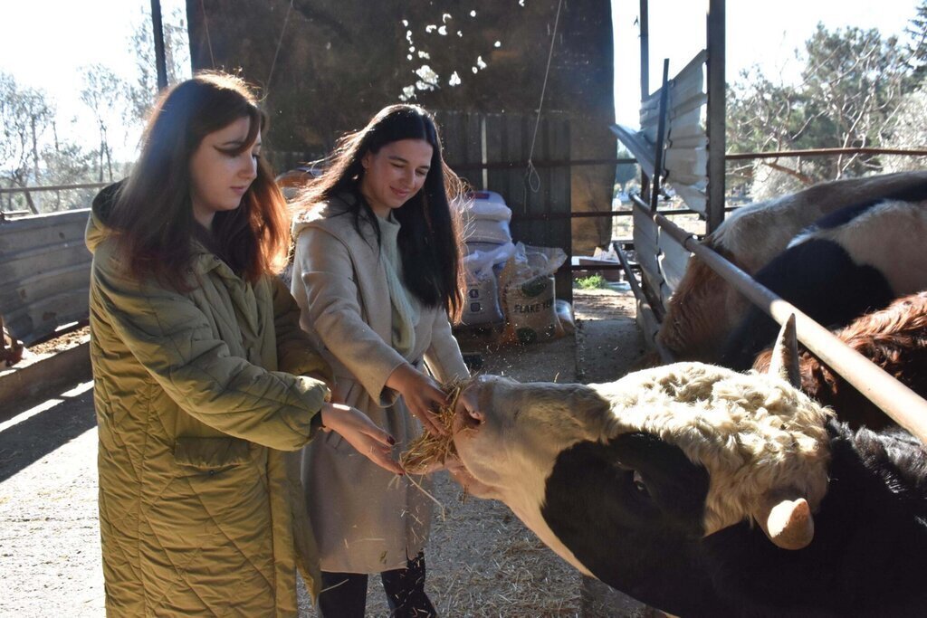 UNIVERSITELI KIZ KARDESLER DEVLET DESTE 472917 139812 scaled