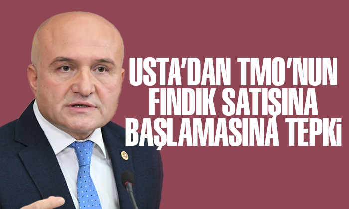 Usta’dan TMO’nun fındık satışına başlamasına tepki