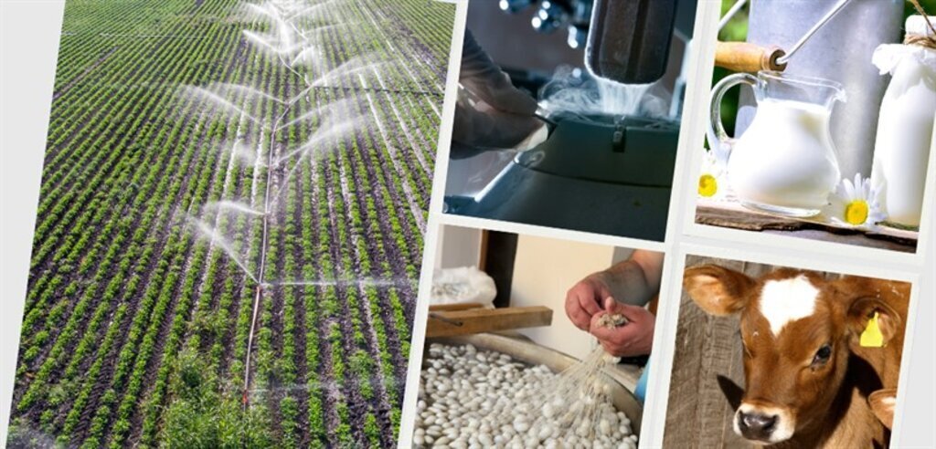 WhatsApp Image 2023 12 16 at 15.31.56