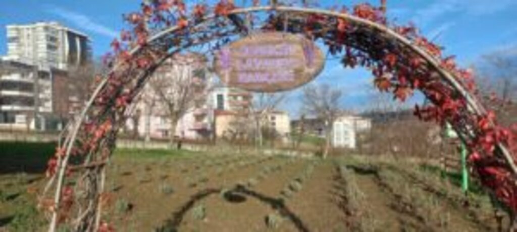 WhatsApp Image 2024 01 12 at 20.04.35