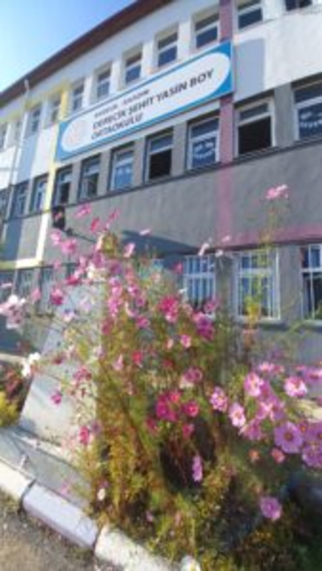 WhatsApp Image 2024 01 12 at 20.04.36 1