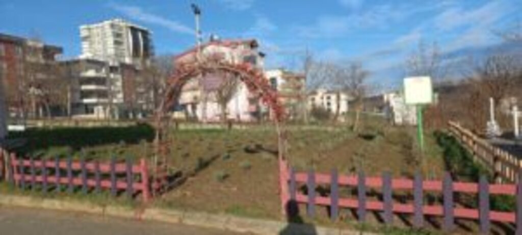 WhatsApp Image 2024 01 12 at 20.04.36