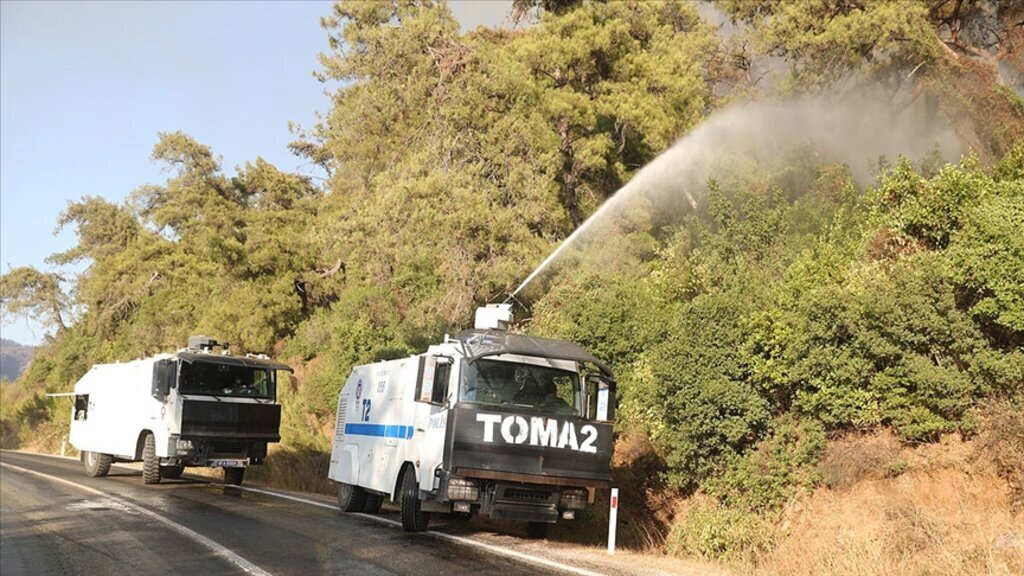 WhatsApp Image 2024 08 18 at 14.19.46