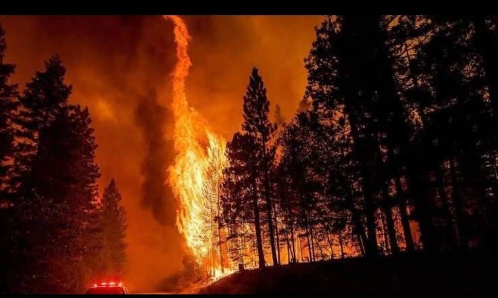 WhatsApp Image 2024 08 18 at 14.20.35