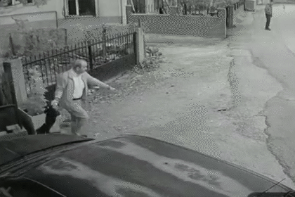 YAVRU KOPEGI KUYRUGUNDAN TUTUP YERE FIRL 947510 281382