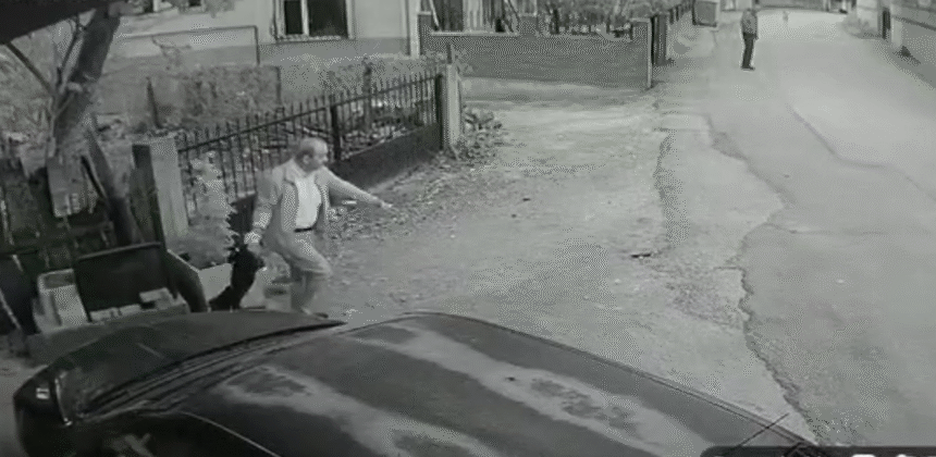 YAVRU KOPEGI KUYRUGUNDAN TUTUP YERE FIRL 947510 281382