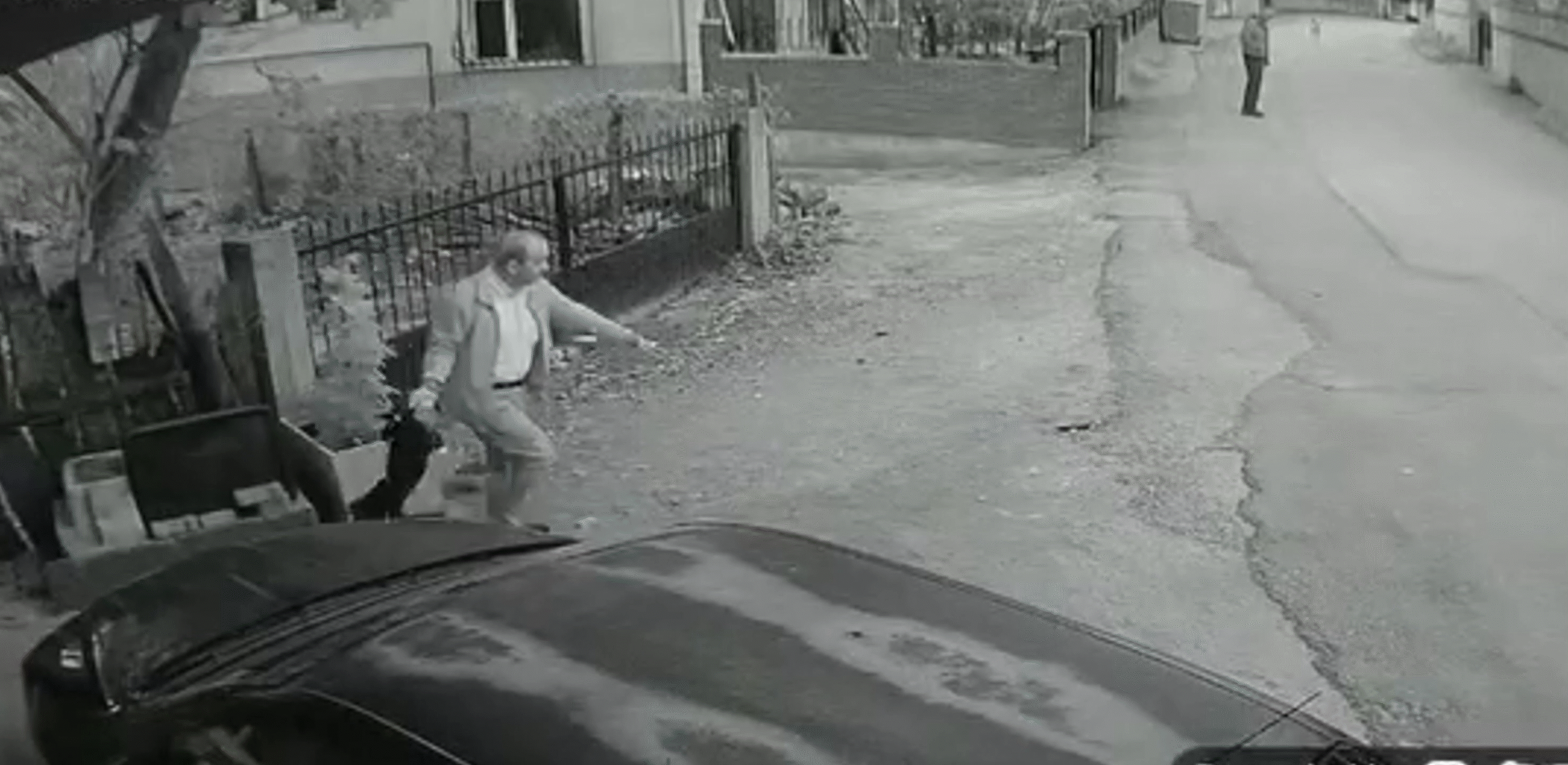 YAVRU-KOPEGI-KUYRUGUNDAN-TUTUP-YERE-FIRL_947510_281382