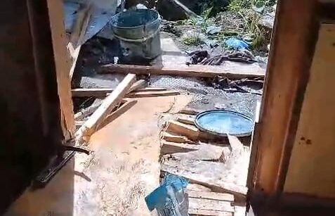 YIYECEK ARAYAN AYILAR 8 KOY EVINE ZARAR 954910 283549 e1760000207111