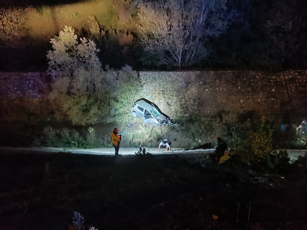 YOLA CIKAN KOPEGE CARPTIKTAN SONRA DEREY 361859 99927