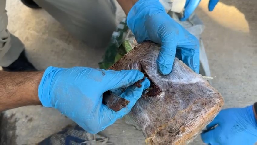 YOLCU OTOBUSUNDE DIS YUZEYI ‘PUL BIBER 896256 266251