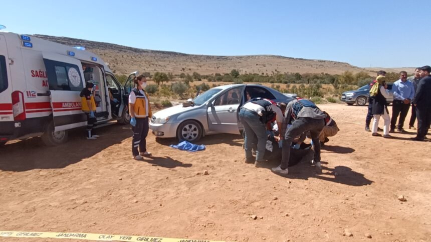 ZIRAAT TEKNIKERI KALBINDEN BICAKLANARAK 926415 275187