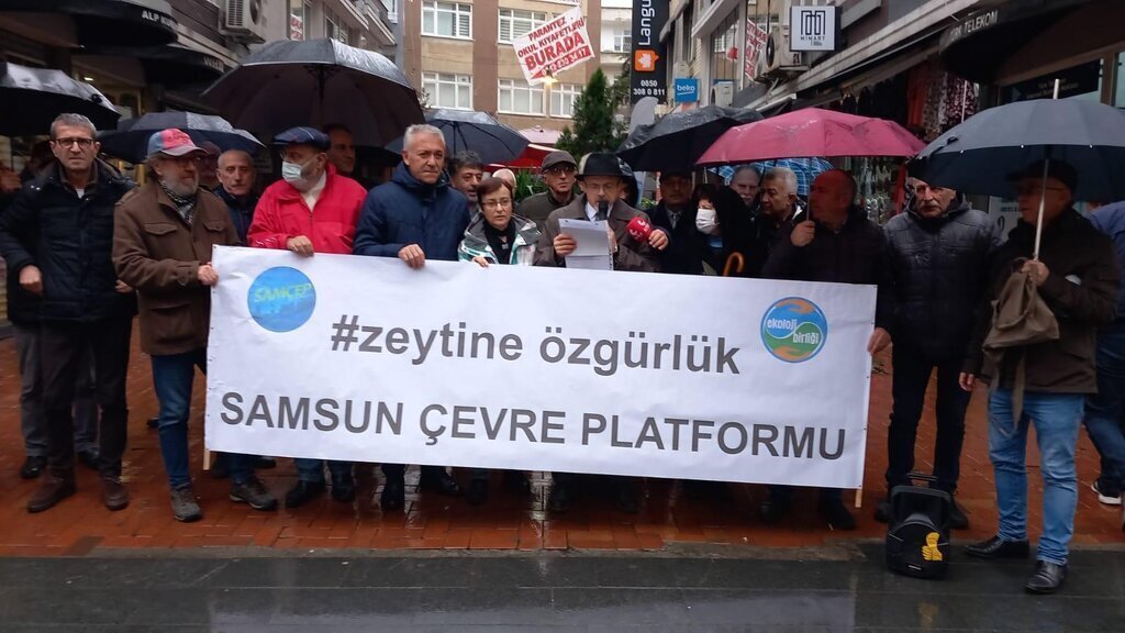 Zeytin 14 Aralik 2022