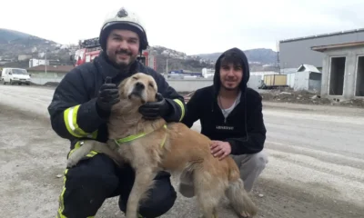 Yer Tokat…Yangından kurtarılan köpek minnetini böyle gösterdi