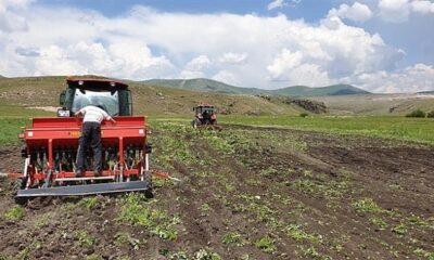 Ardahan çiftçileri doğal afetlere karşı hazırlıklı mı? – Birlik Haber Ajansı- Türkiye’nin Haber Ağı