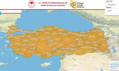 Türkiye Arıcılık Haritası Yayınlandı