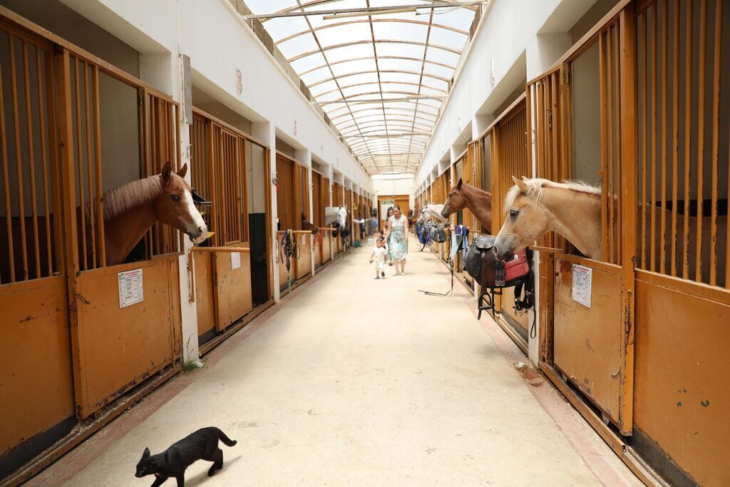 atli spor tesisi scaled