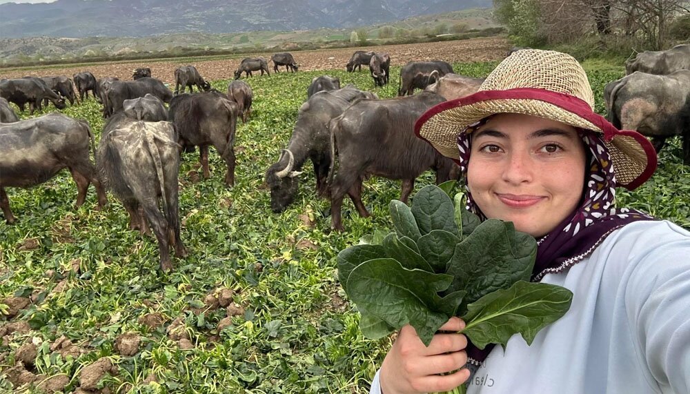 basliksiz 1 kopya kopya kopya kopya kopya kopya kopya kopya kopya kopya kopya 22