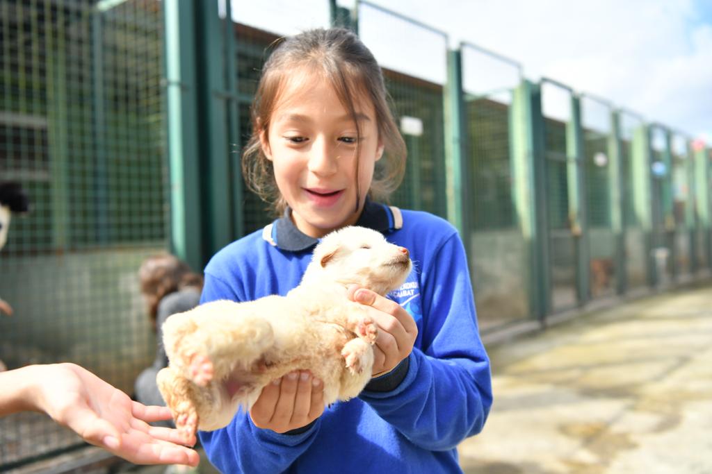 Trabzon’da 4 Ekim Dünya Hayvanları Koruma Günü etkinlikleri gerçekleşti