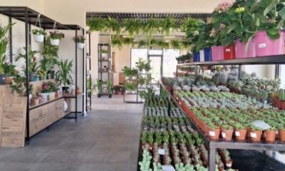 Malatya Battalgazi’nin Yeni Cazibe Merkezi ‘Botanik Market’