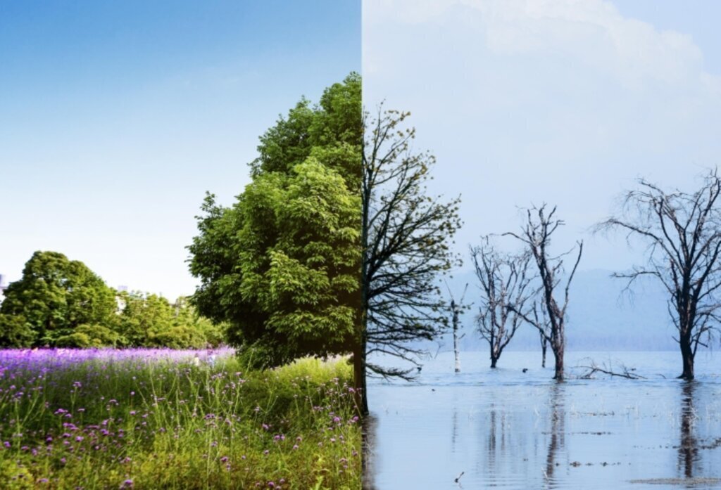 cevre sehircilik 8230 20240407154039 727x495 1