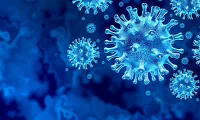 Dünyaca ünlü Türk profesör müjdeyi verdi: ”Korona virüsü durduran ilaçlar bulundu!”