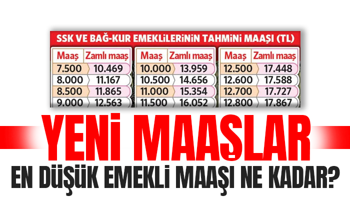 En düşük emekli aylığı belli oldu! Ocakta en düşü maaş 10 bin 459 lira olacak