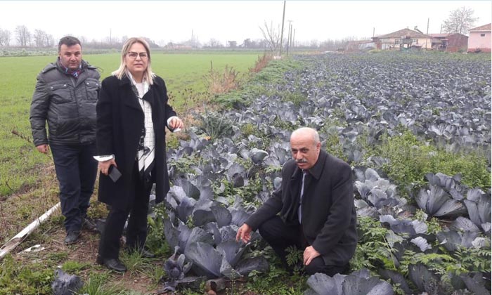 Hancıoğlu, iktidarın tarım politikasını Bafra’dan eleştirdi