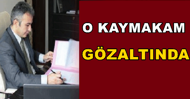 Terme Kaymakamı İlyas Gün Gözaltına Alındı!