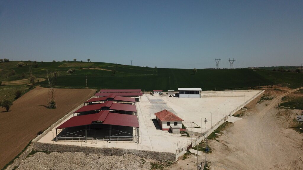 havza hayvan 0pazari scaled